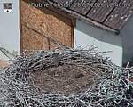 Capi_Dubne_20260728_124004.jpg