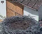 Capi_Dubne_20260728_132002.jpg