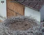 Capi_Dubne_20260728_132503.jpg