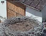 Capi_Dubne_20260728_134502.jpg