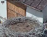 Capi_Dubne_20260728_135004.jpg
