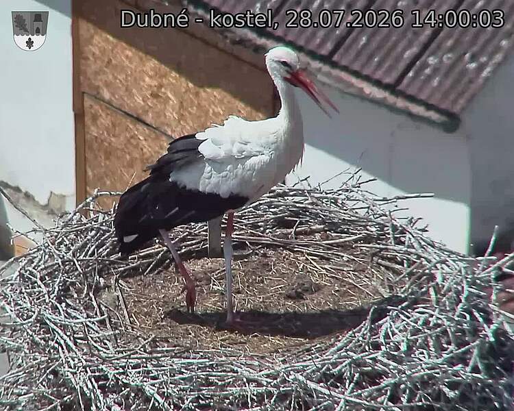 preload