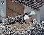 Capi_Dubne_20260728_155504.jpg