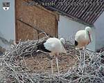 Capi_Dubne_20260728_165003.jpg