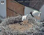 Capi_Dubne_20260728_170503.jpg