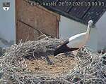 Capi_Dubne_20260728_180003.jpg