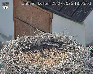 preload