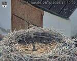 Capi_Dubne_20260728_185002.jpg
