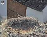 Capi_Dubne_20260728_193003.jpg