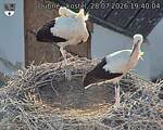 Capi_Dubne_20260728_194004.jpg