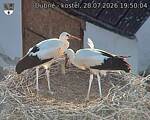 Capi_Dubne_20260728_195004.jpg