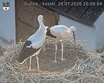 Capi_Dubne_20260728_200004.jpg