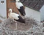 Capi_Dubne_20260728_205504.jpg