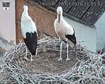 Capi_Dubne_20260728_210502.jpg