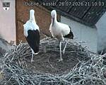 Capi_Dubne_20260728_211003.jpg