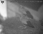 Capi_Dubne_20260728_230003.jpg