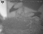 Capi_Dubne_20260728_234003.jpg