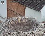 Capi_Dubne_20260729_053002.jpg
