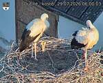 Capi_Dubne_20260729_060003.jpg