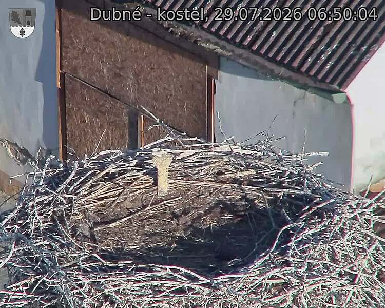 Capi_Dubne_20260729_065004.jpg (1350&nbsp;x&nbsp;1080)