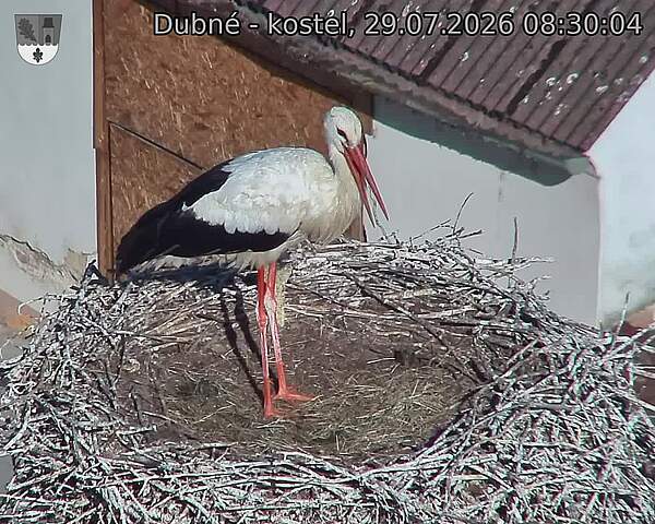 preload