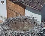 Capi_Dubne_20260729_123503.jpg