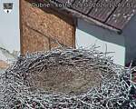 Capi_Dubne_20260729_124003.jpg