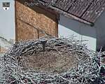 Capi_Dubne_20260729_132503.jpg