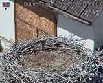 Capi_Dubne_20260729_140003.jpg