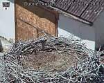 Capi_Dubne_20260729_141002.jpg
