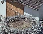 Capi_Dubne_20260729_142003.jpg