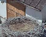Capi_Dubne_20260729_143503.jpg