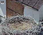 Capi_Dubne_20260729_154003.jpg