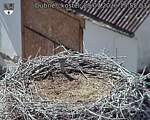 Capi_Dubne_20260729_155503.jpg