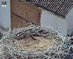 Capi_Dubne_20260729_162503.jpg