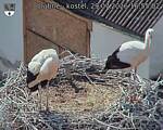 Capi_Dubne_20260729_165502.jpg