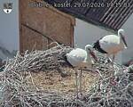 Capi_Dubne_20260729_171503.jpg