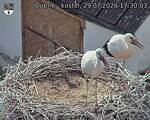 Capi_Dubne_20260729_173003.jpg