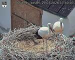 Capi_Dubne_20260729_174003.jpg