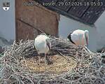 Capi_Dubne_20260729_180503.jpg