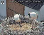 Capi_Dubne_20260729_181002.jpg