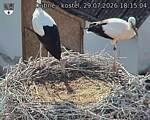 Capi_Dubne_20260729_181504.jpg