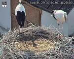 Capi_Dubne_20260729_182003.jpg
