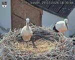 Capi_Dubne_20260729_183004.jpg