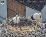 Capi_Dubne_20260729_184504.jpg
