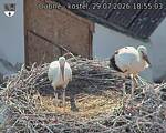 Capi_Dubne_20260729_185503.jpg