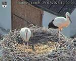 Capi_Dubne_20260729_190003.jpg