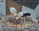 Capi_Dubne_20260729_192004.jpg