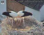Capi_Dubne_20260729_193503.jpg