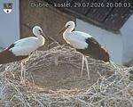 Capi_Dubne_20260729_200003.jpg